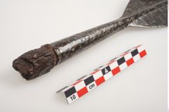 Foto von Eisenlanzenspitze (NHMW-PRAE-002269)